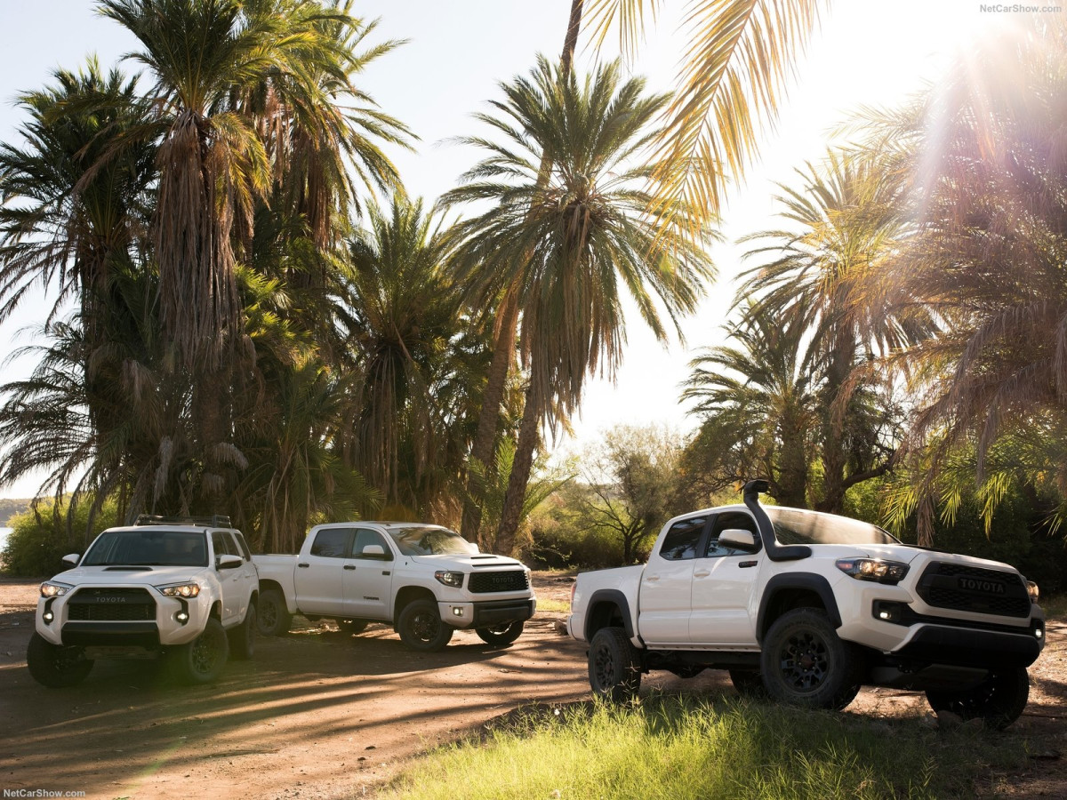 Toyota Tacoma TRD Pro фото 192866