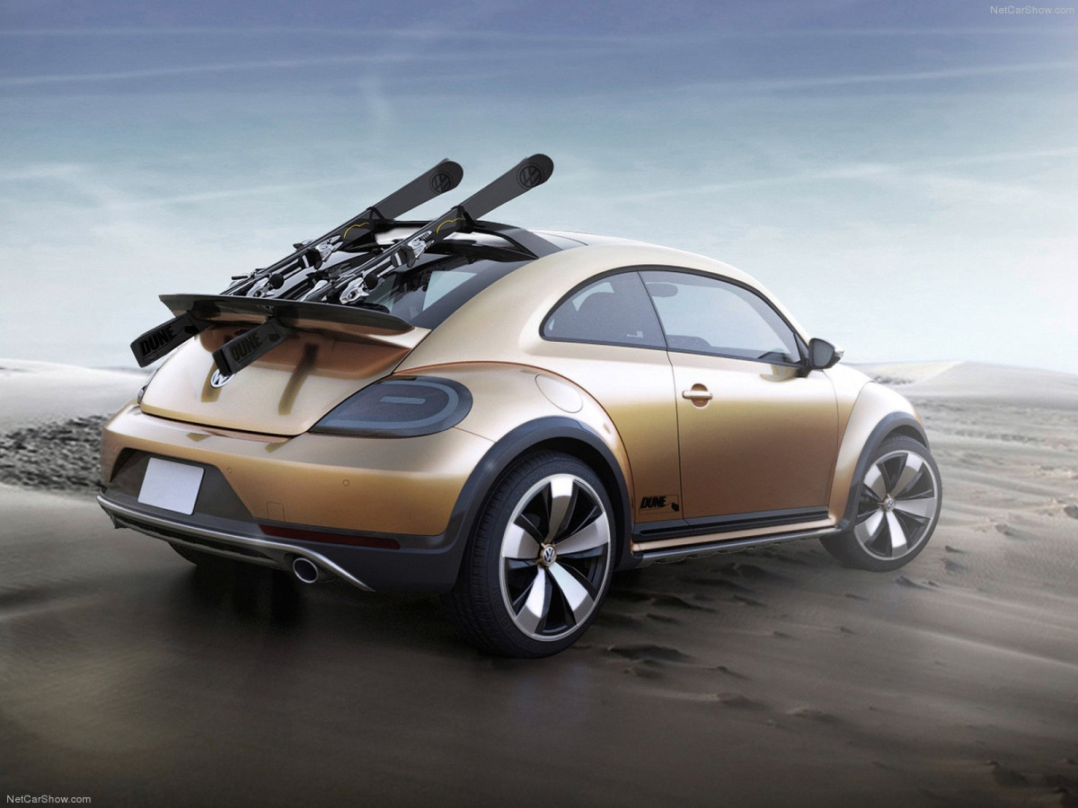 Volkswagen Beetle Dune фото 131110