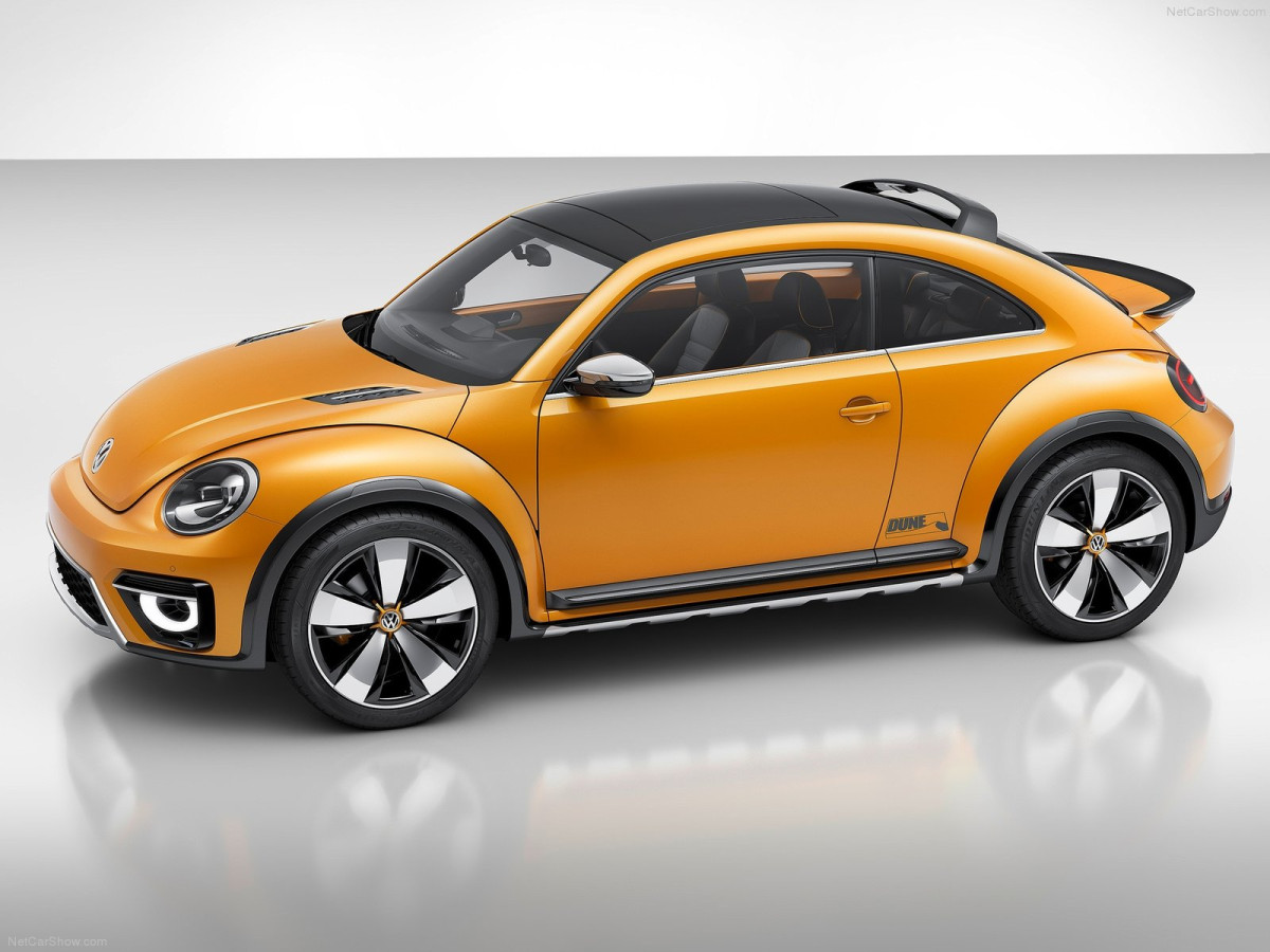 Volkswagen Beetle Dune фото 131121