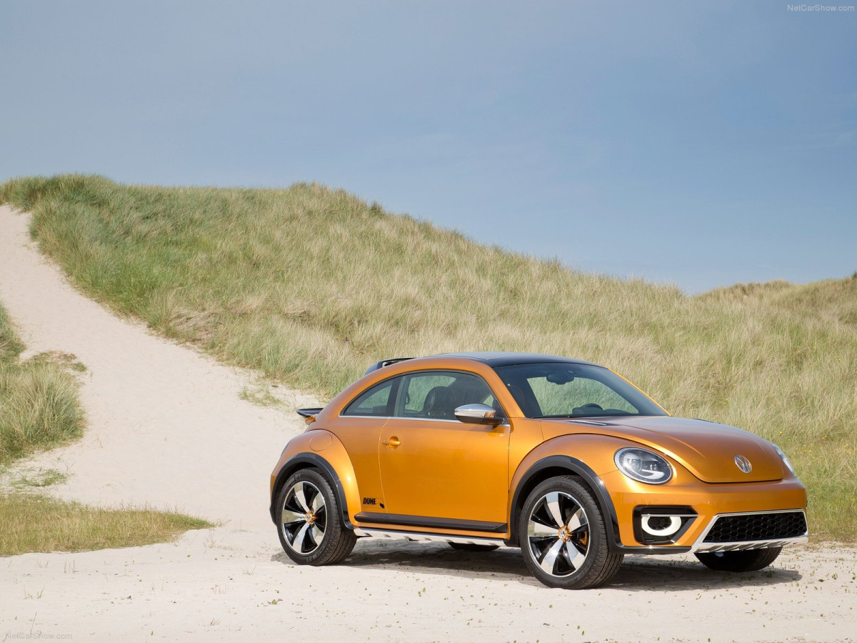 Volkswagen Beetle Dune фото 131144