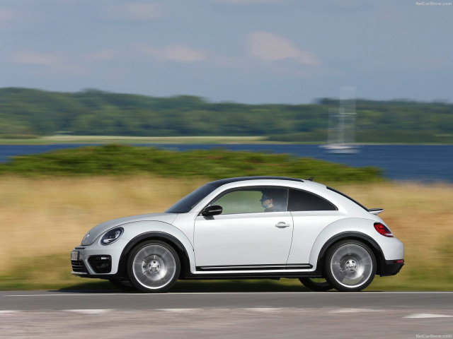 Volkswagen Beetle фото