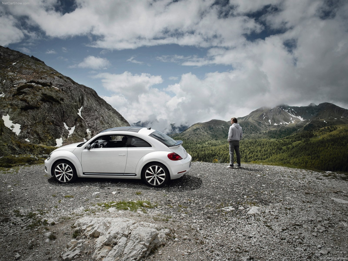 Volkswagen Beetle фото 85355