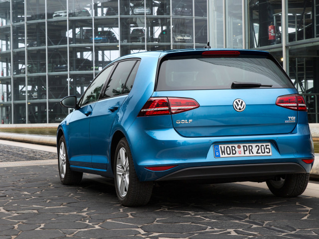 Volkswagen Golf BlueMotion фото