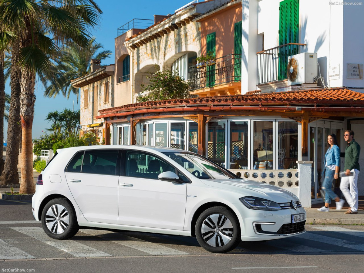 Volkswagen Golf BlueMotion фото 182959