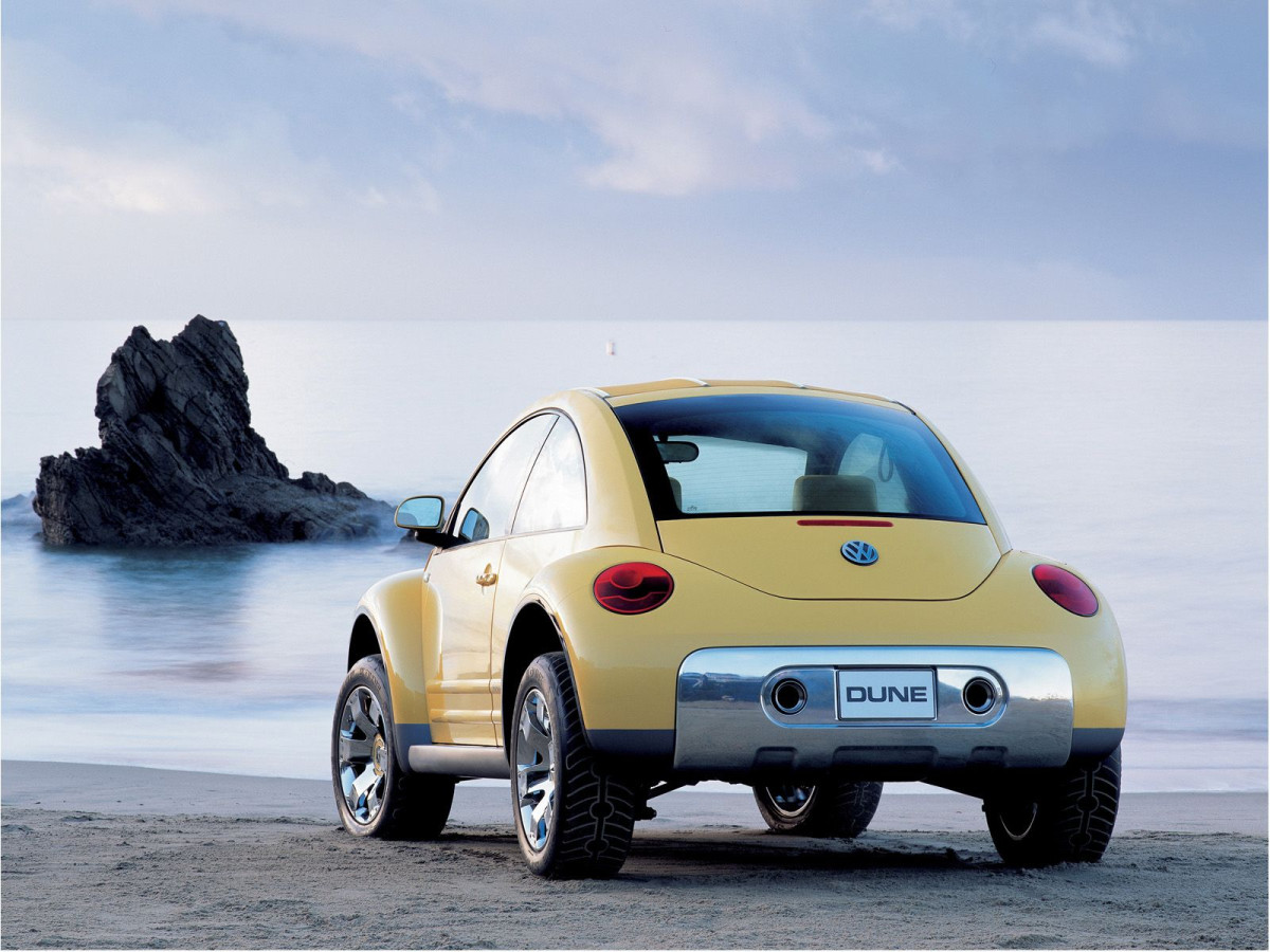 Volkswagen New Beetle Dune фото 9719