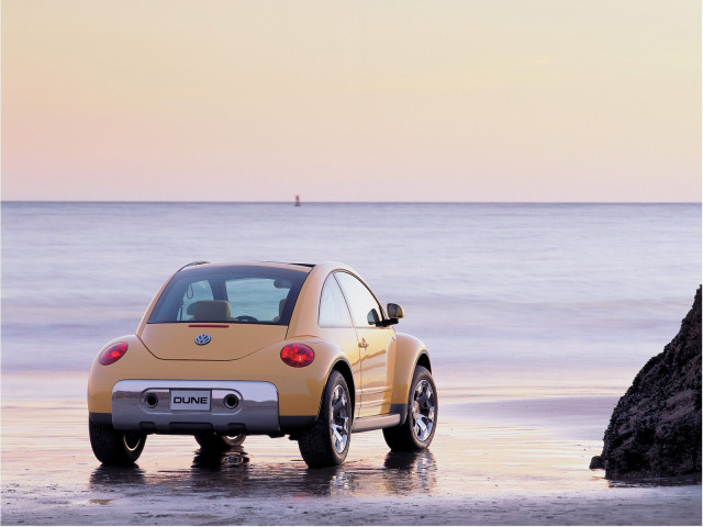 Volkswagen New Beetle Dune фото