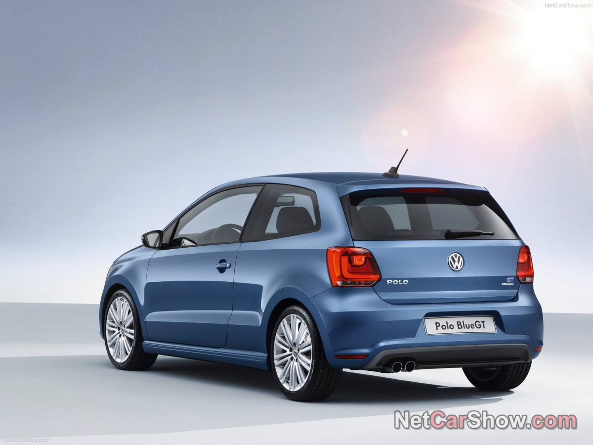 Volkswagen Polo Blue GT фото 96734