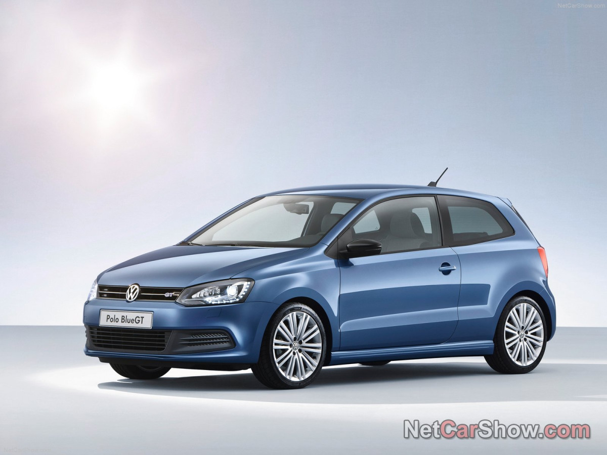 Volkswagen Polo Blue GT фото 96736