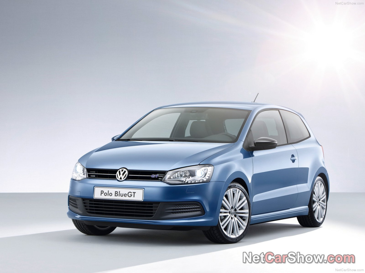 Volkswagen Polo Blue GT фото 96737