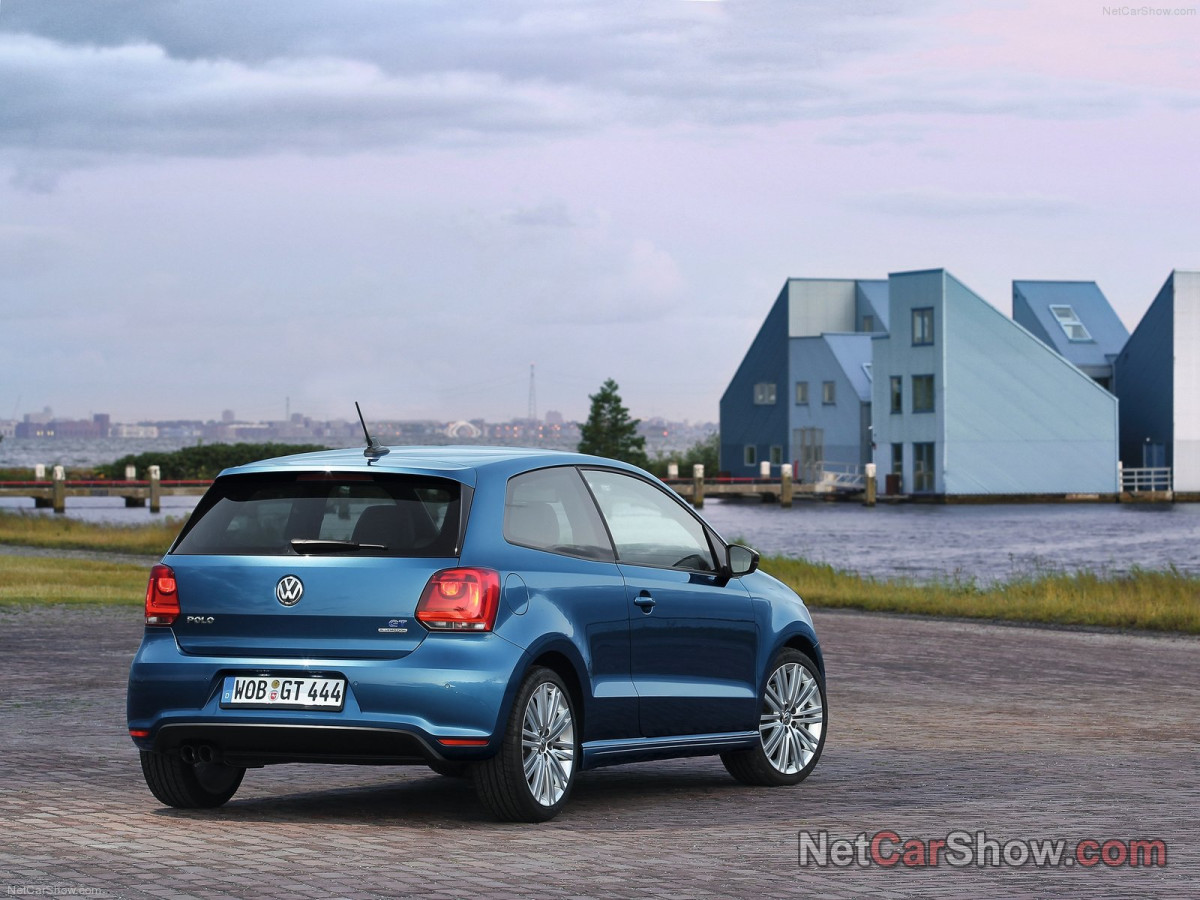 Volkswagen Polo Blue GT фото 96739