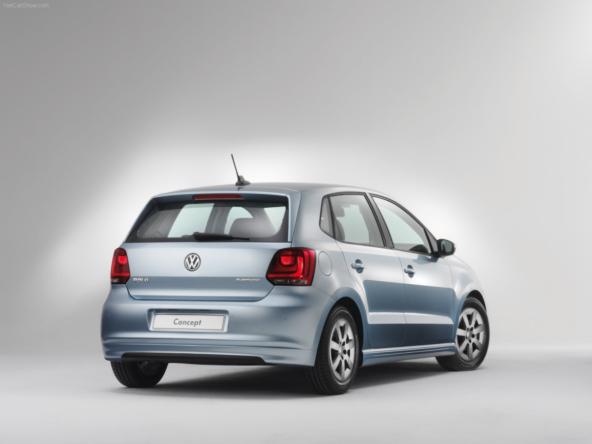 Volkswagen Polo BlueMotion фото 66266