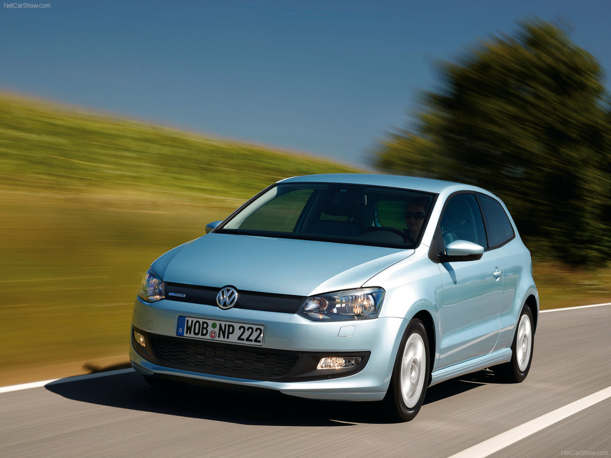 Volkswagen Polo BlueMotion фото 70982