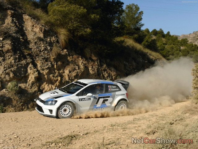 Volkswagen Volkswagen Polo R WRC фото