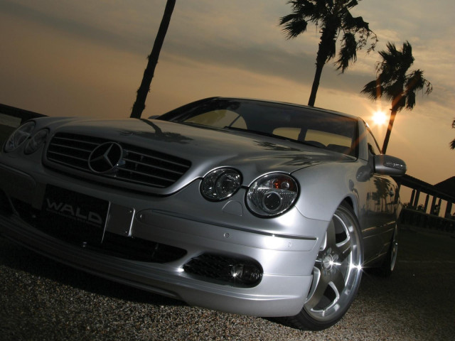 Wald Mercedes Benz CL600 фото