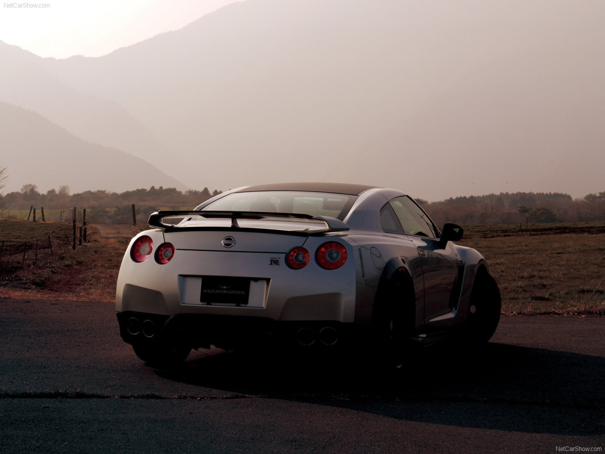 Wald Nissan GT-R фото 67842