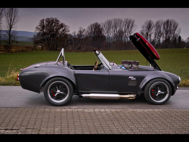 Weineck Cobra 780 cui Limited Edition фото