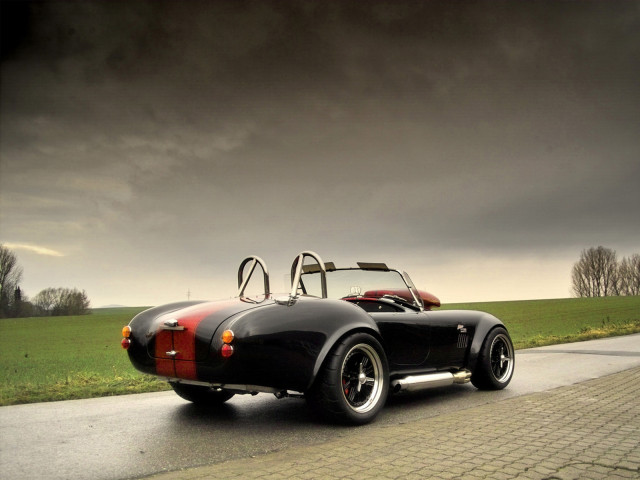 Weineck Cobra 780 cui Limited Edition фото