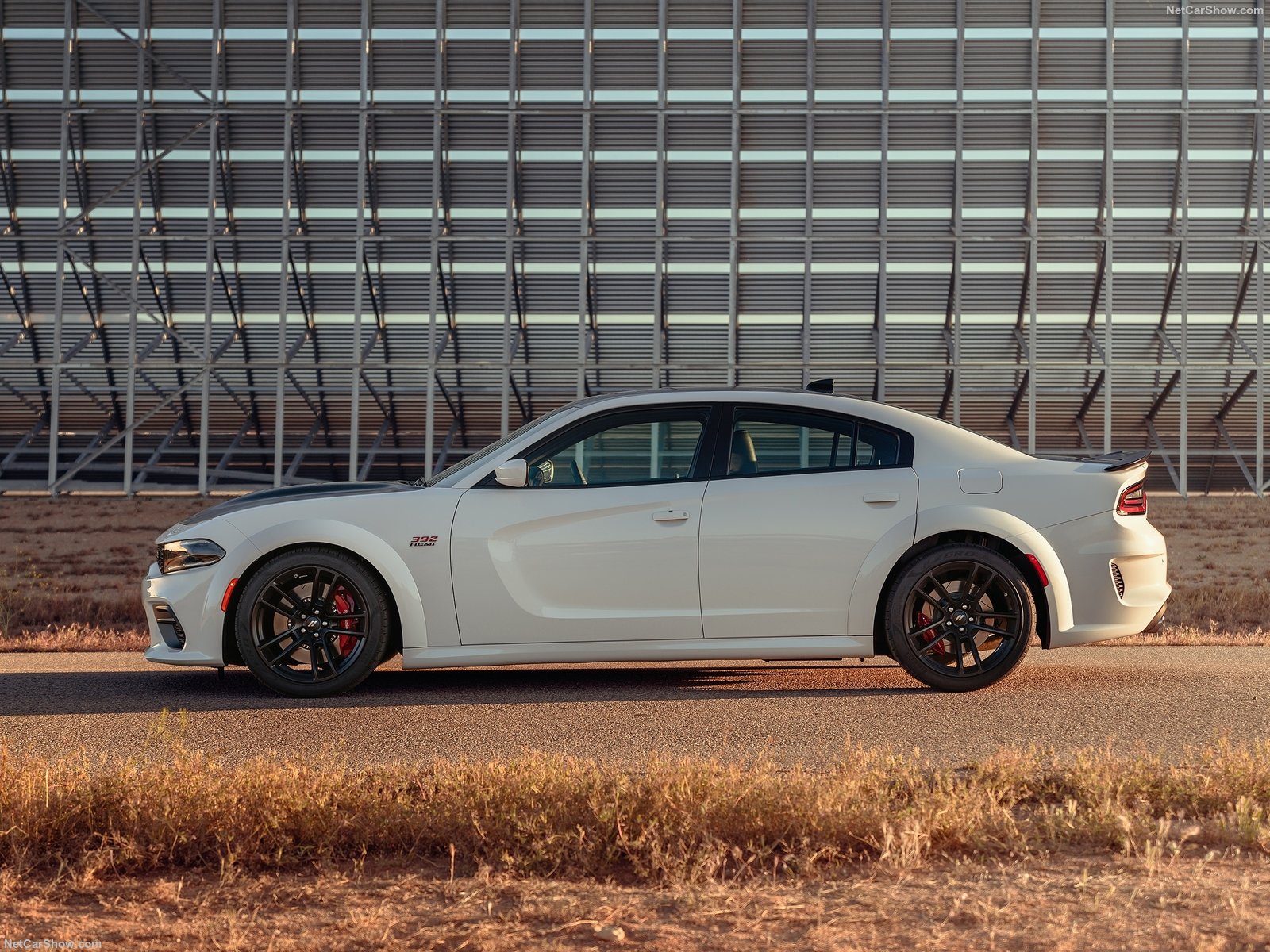 Dodge Charger 2019 Tuning