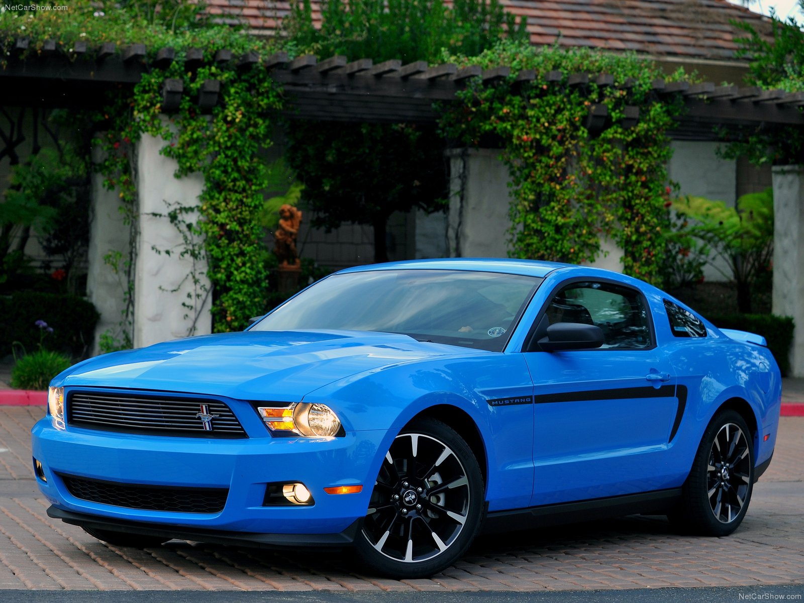 Ford Mustang Shelby 2010