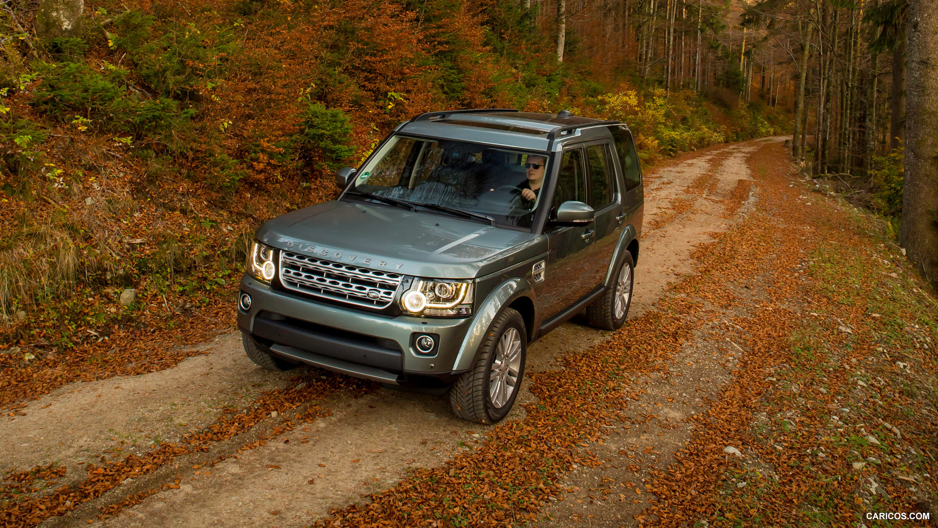 Land Rover Discovery 4 зима