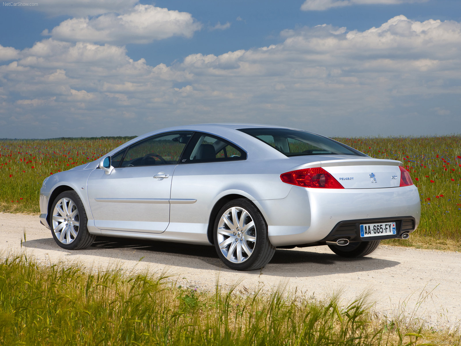 Peugeot 407 Coupe 2008