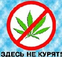В Голландии открыта школа пьяной езды