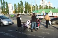 В Питере научат пропускать пешеходов